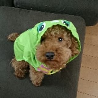 aki