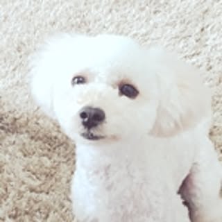 Kiiiyooopooo