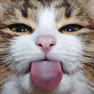 Meru