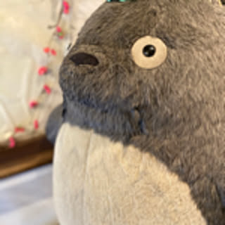 ShiroMaru