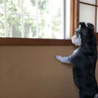 ain