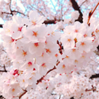 Ikue