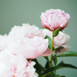 Hiromi