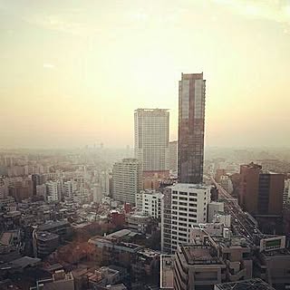 senya_hiroshi