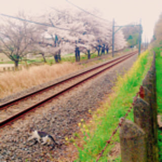 airi