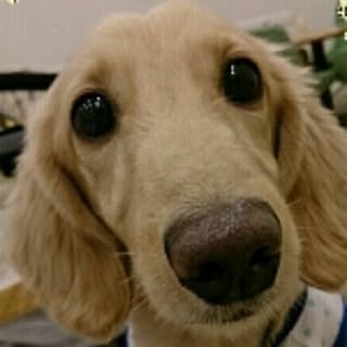 elkun.mama