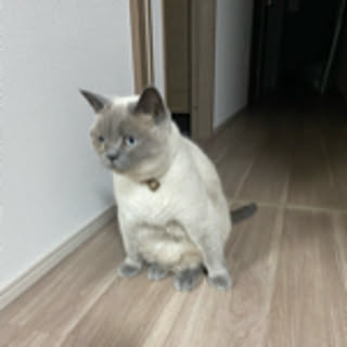 yumi