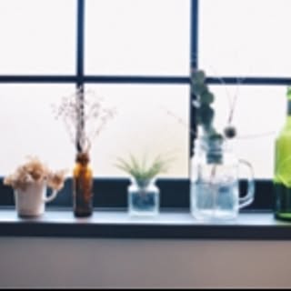 y____13