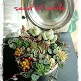 seed.of.smile