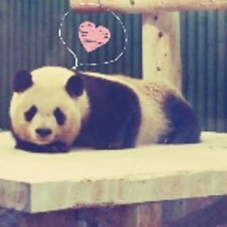 hrn_c5