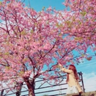 nyoooroteru