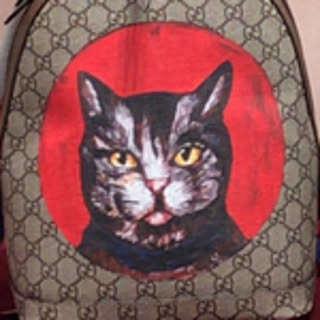 Kuromi-house