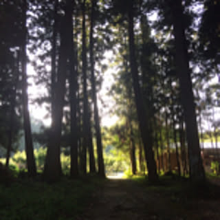 kaoruken
