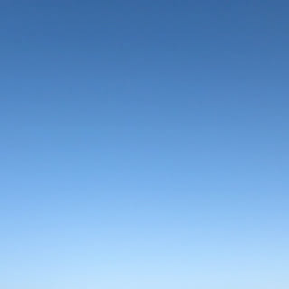 mer_0m
