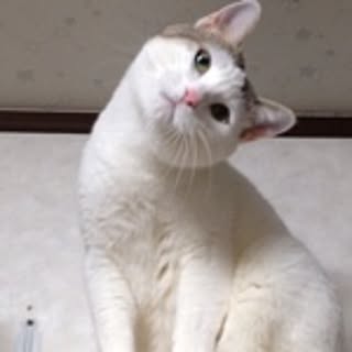 Happypink