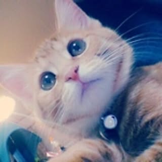 ponmi