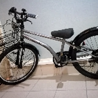 mamecco18