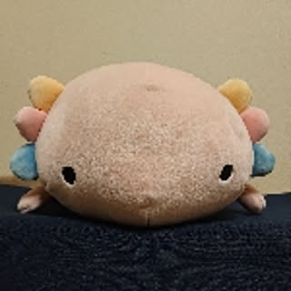 kayokayo