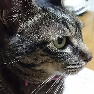 maorin