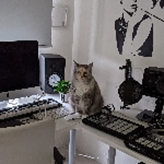 SRAroom