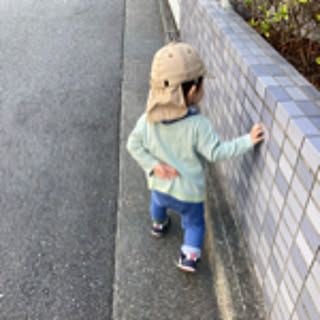 sakuralatte
