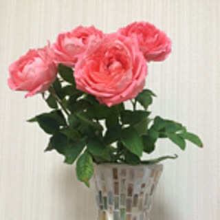 pam