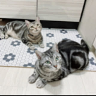 yoshimi_443
