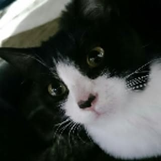 Yuki