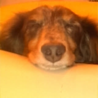 T.S