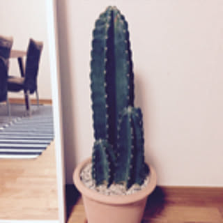 AKE