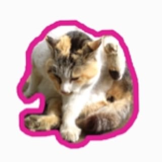 omisoshiru