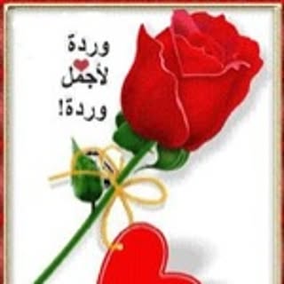 Jawad