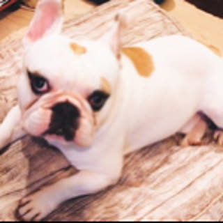 suke