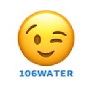 106water