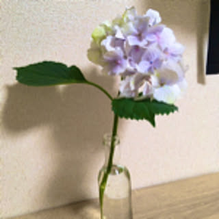 e.f