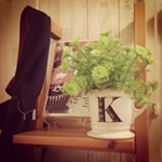 k_gemini10