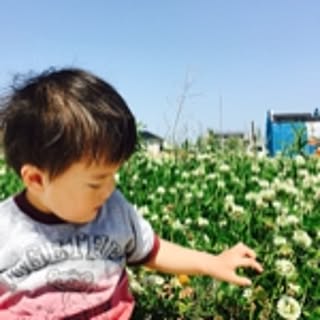 hibi