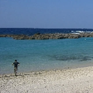 HARUTA