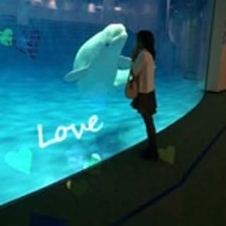Hitoooom