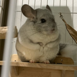 Jun