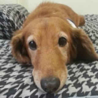 Rie