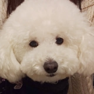 Katsu-n