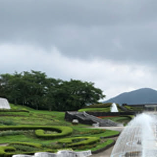 ri_i