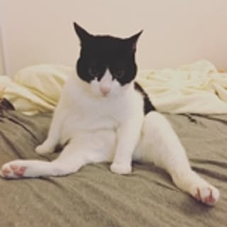 myaa.coco