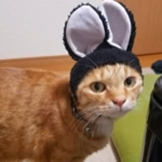 Madopey