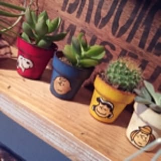 mii3kin