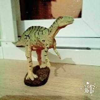 mido