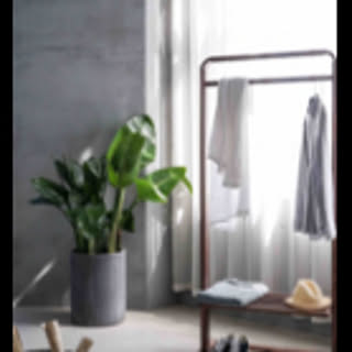 designyaama