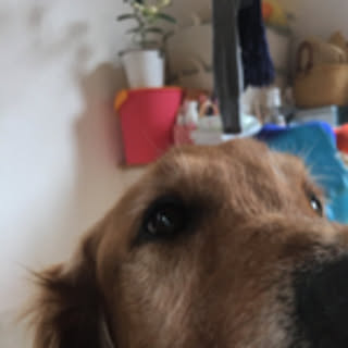 maru