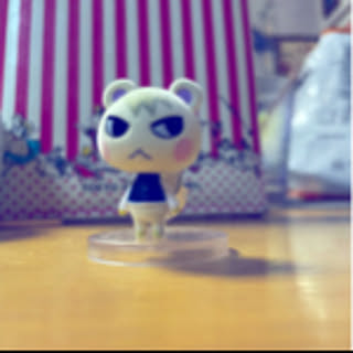 Akikko